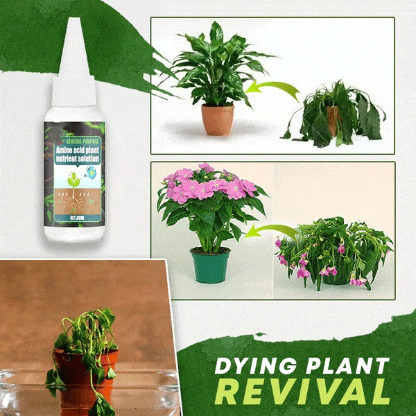 🌿 Plant Food Supplement for Greener Leaves, Blooms & Garden Care