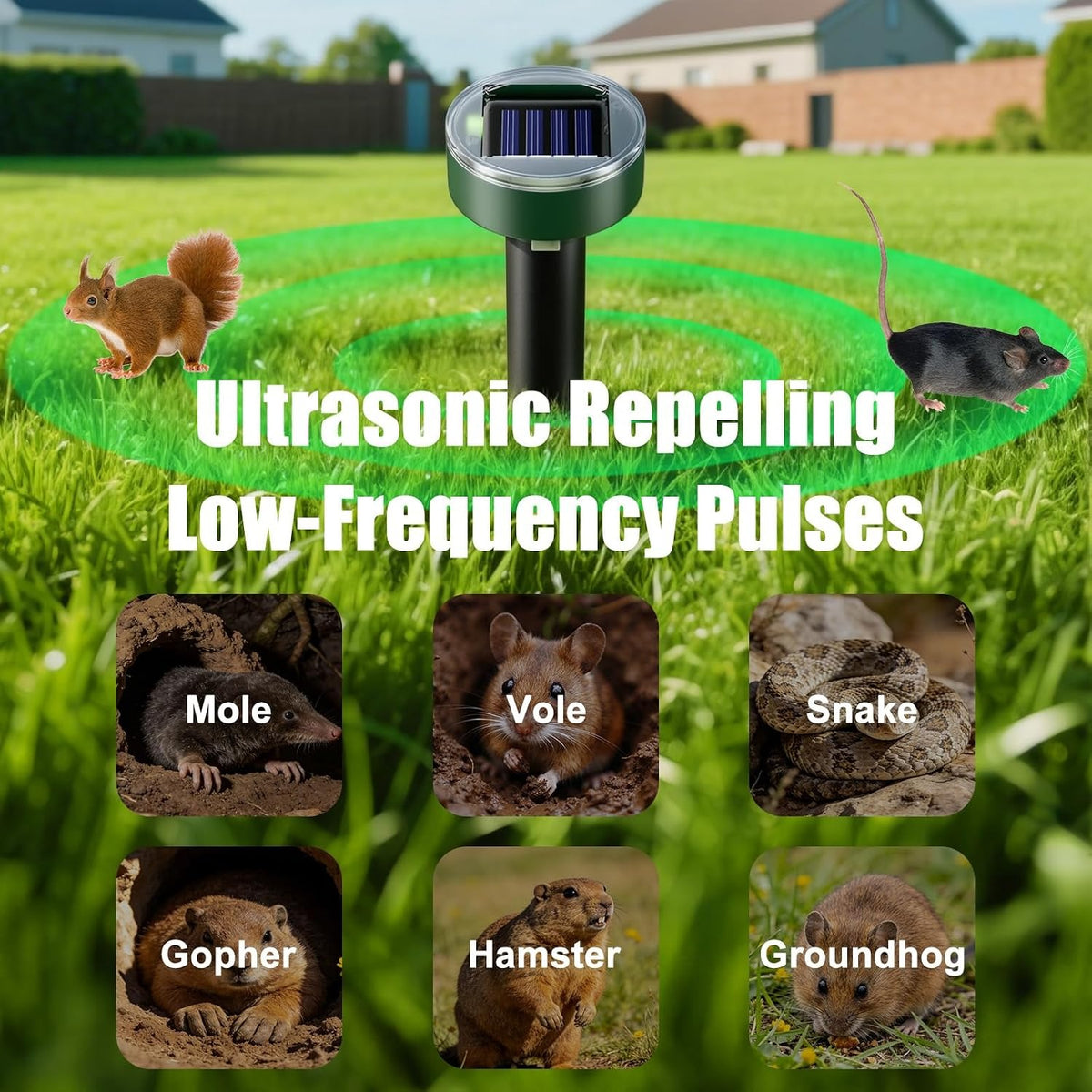 Solar Powered Rodent Repeller